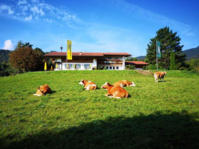 Berggasthof Niederalm